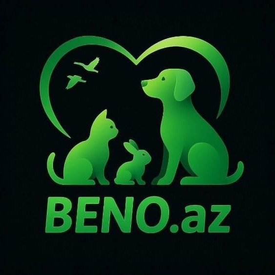 Zoo Beno