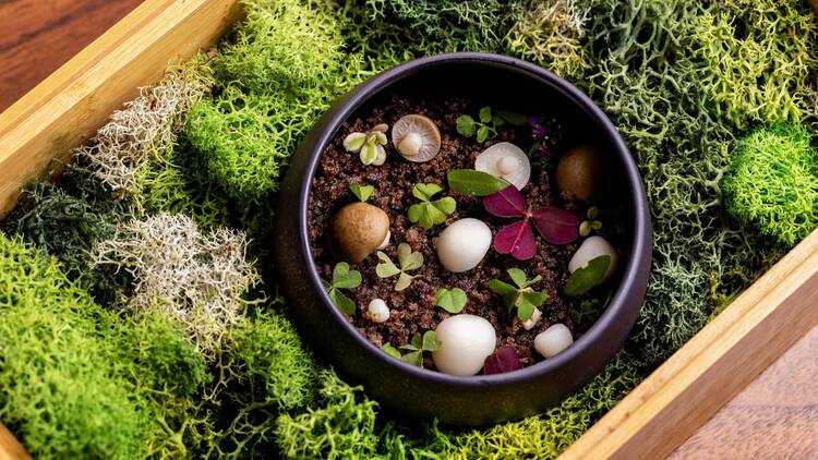 The best restaurants in Atlanta