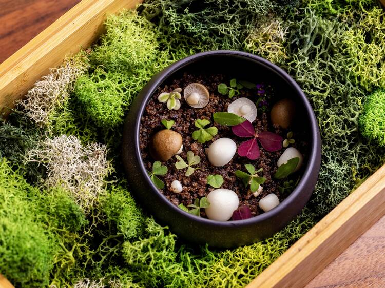 The best restaurants in Atlanta