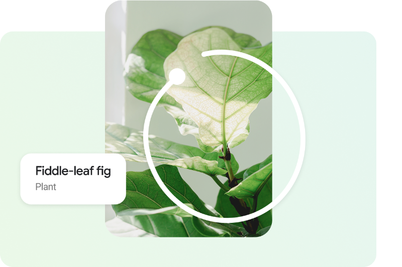 Image searching with circle to search