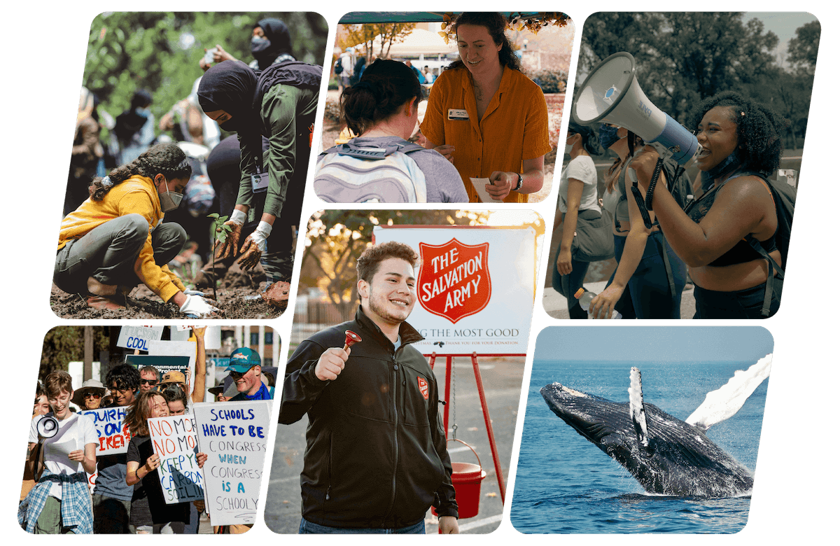 A grid of six photos representing the type of work and organizing done by our clients